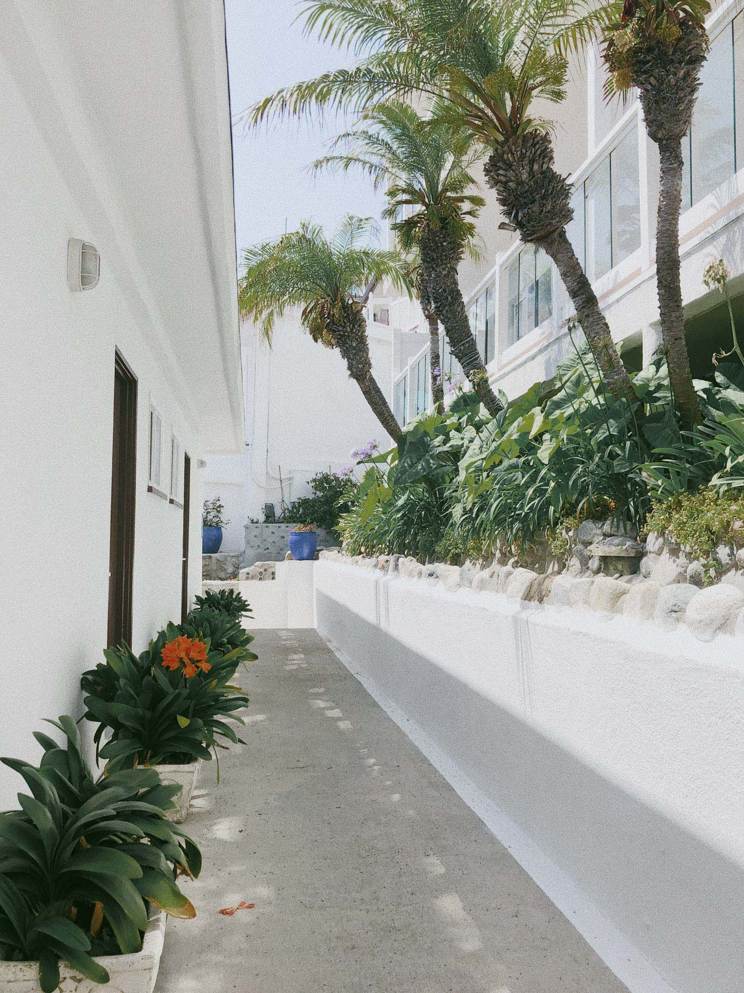 Capri Laguna Walkway with Greenery